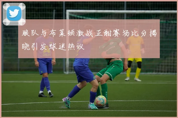 狼队与布莱顿激战正酣赛场比分揭晓引发球迷热议
