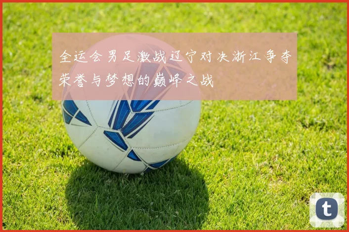 全运会男足激战辽宁对决浙江争夺荣誉与梦想的巅峰之战