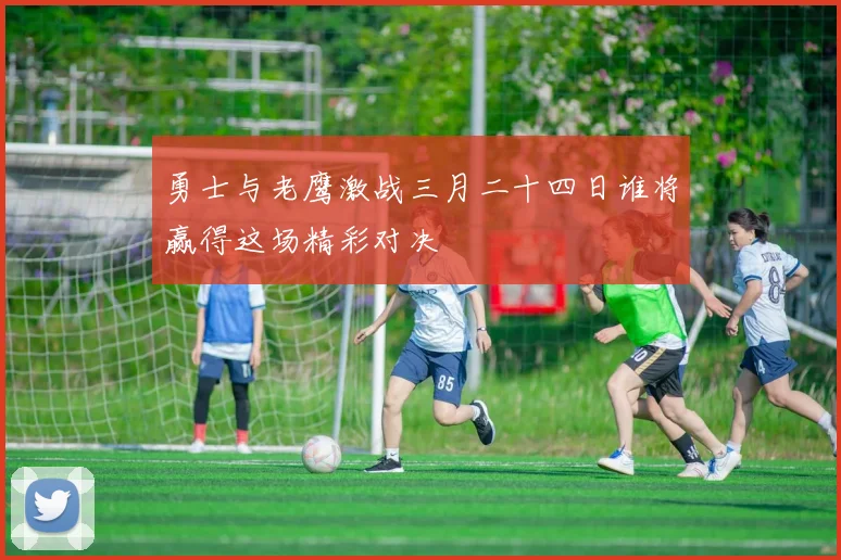 勇士与老鹰激战三月二十四日谁将赢得这场精彩对决